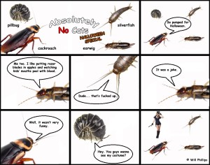 absolutelynocats11_webanddevices