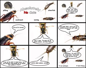 absolutelynocats12_webanddevices