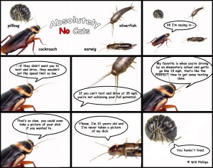 absolutelynocats3_webanddevices