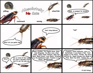 absolutelynocats4_webanddevices