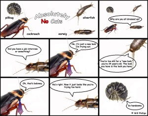 absolutelynocats6_webanddevices