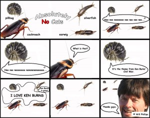 absolutelynocats8_webanddevices