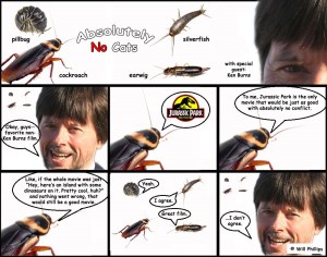 absolutelynocats9_webanddevices